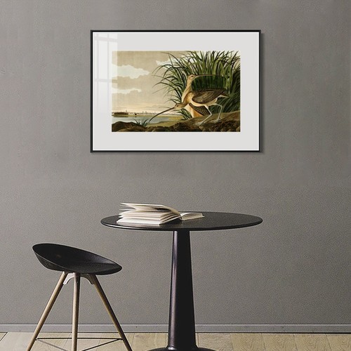 Lienzo enmarcado impresión de giclee largo facturado rizo por John James Audubon decoración del hogar - Imagen 8 de 20