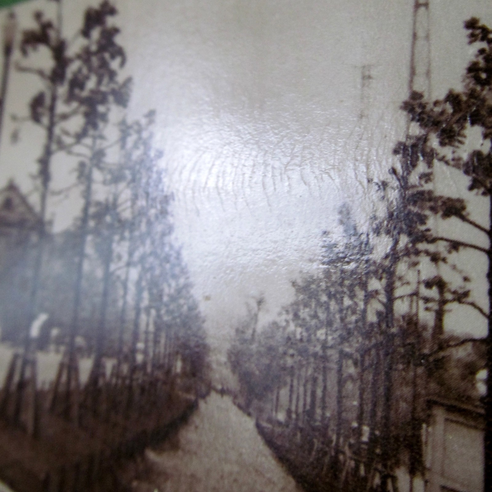 Picture 8 of 9