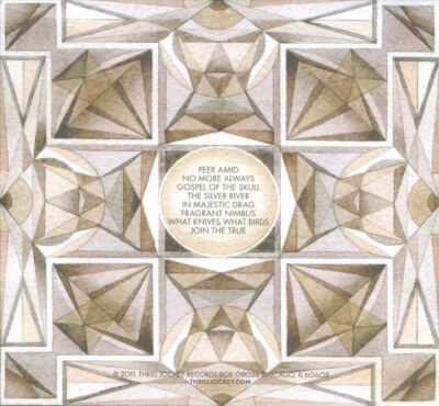 【中古】 Skull Defekts / Peer Amid The Skull Defekts – Peer Amid | Releases | Discogs