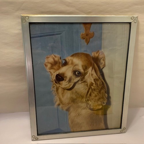 MCM Arte Perro Impresión Retro Metal Raro Marco 1970 Cocker Spaniel Obra de Arte Retro De Colección - Imagen 15 de 22