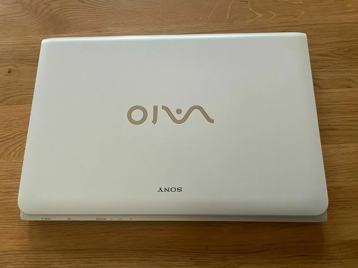 Sony Vaio SVE151 Sve151j11m Memory RAM Cover for sale online | eBay