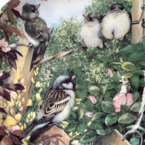 Coalport Garden Visitors - for Danbury Mint - Choice of 6 Plates - Picture 18 of 23