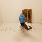 Picture 4 of 5