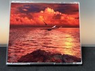 Bild 9 von 11
