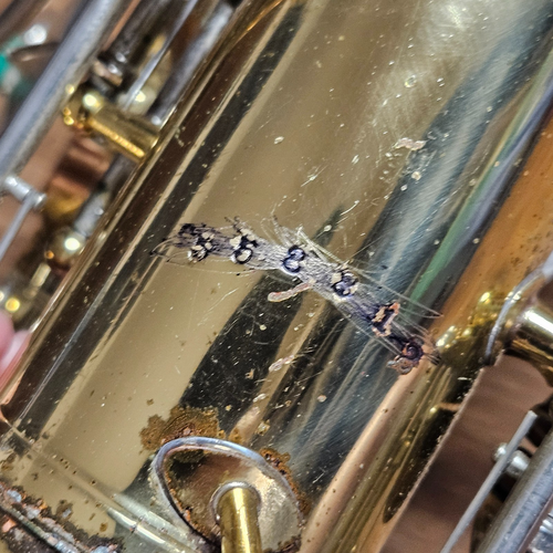 Vintage Buescher Aristocrat Saxophon goldfarben Lack Hartschalenkoffer Retro Jazz 558816 - Bild 7 von 22
