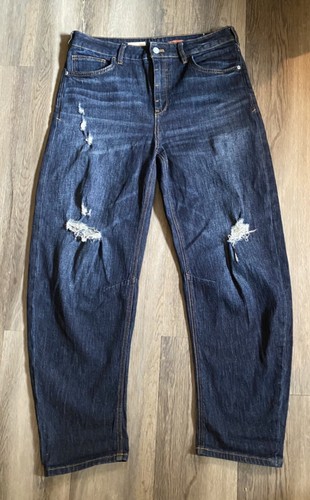 Anthropologie Pilcro High Rise Barrel Jeans 29 Dark Wash Distressed NWOT