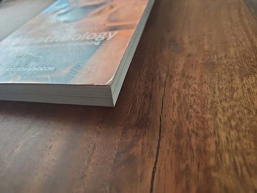 Breatheology: The Art of Conscious Breathing by Stig Avall Severinson Softcover - Imagen 4 de 10