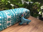 Blue CIRCUS SEAL~ playful w/hat~Sea Aquarium Animal Shoe Charm for Crocs