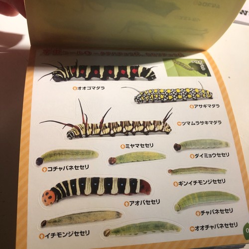Japanese Caterpillar Stickers book 250 Stickers Shogakkan NEO - Picture 8 of 23