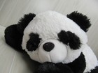 Bild 5 von 7