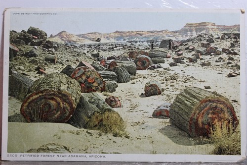 Arizona AZ Adamana Petrified Forest Postcard Old Vintage Card View Standard Post
