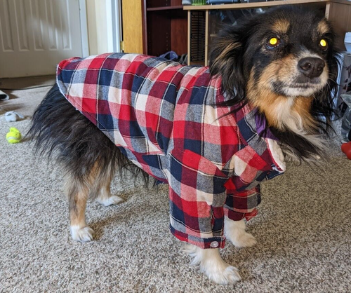 Toller Hundemantel Weste L Größe L Sherpa Fleece gefüttert kariert mit Knöpfen - Bild 1 von 10