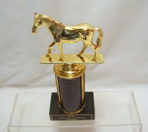 TROFEOS DE CABALLOS DE CARRERAS TROFEO DE CABALLOS 8 COLORES - Imagen 2 de 5