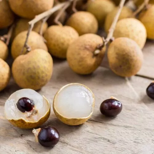 20 Longan Seeds - Dragon Eye Fruit Sweet Delicious