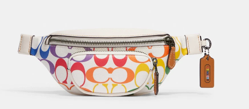 Nwt Coach Sprint 24 Rainbow Signature Belt Bag Cj682 Nepal Ubuy