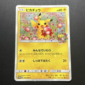 ピカチュウ 2018年 SM PROMO #224 Pikachu (SM-P Promo 224) - Bulbapedia, the community-driven