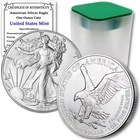 2024 Lot of  10 1 Oz American Eagle Silver Bullion Coins Brilliant Uncirculated