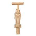 Zinc Alloy Water Valve: 1/2-1/2 Garden Hose Faucet with Control