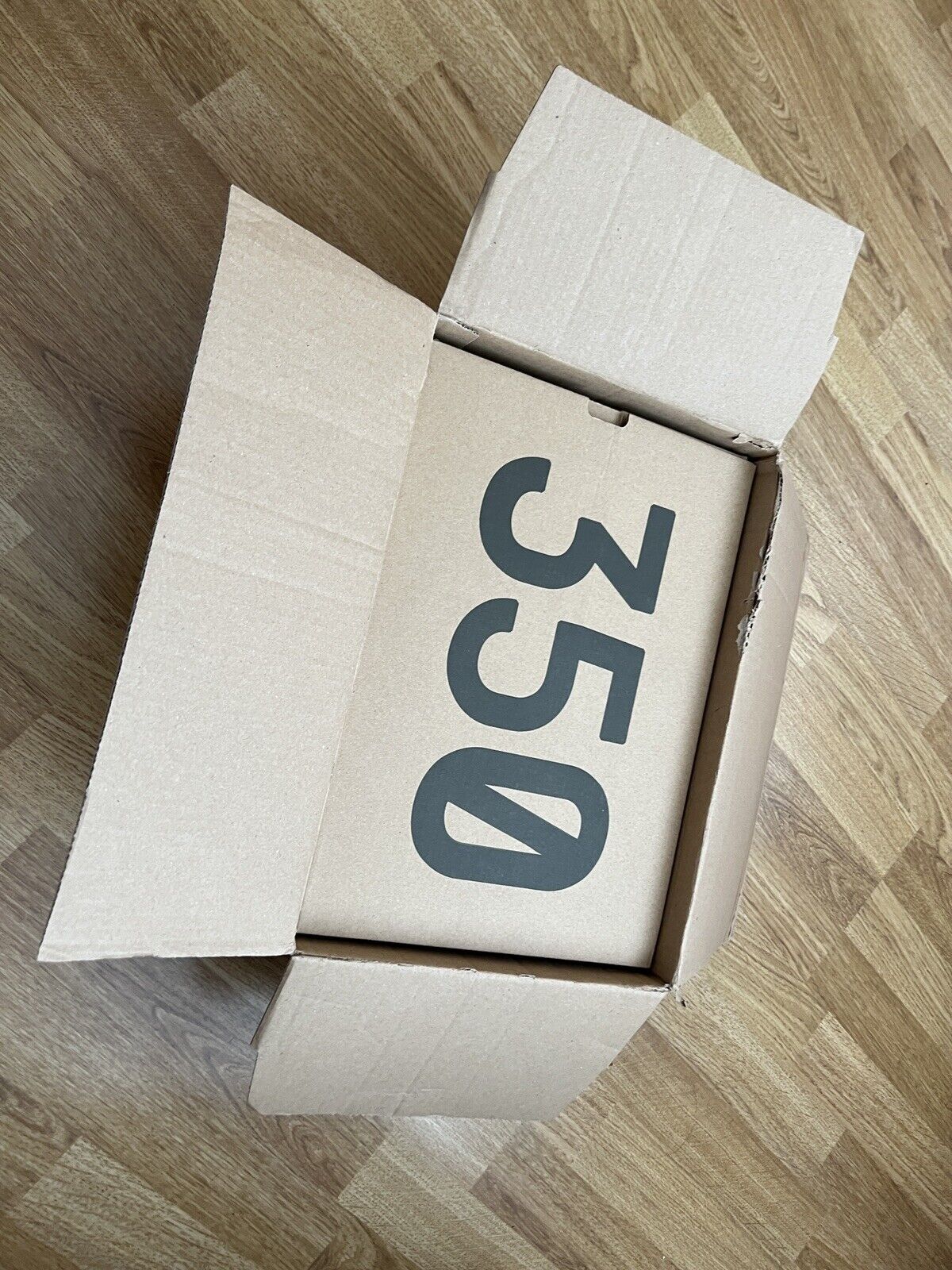 Foto 7 di 8
