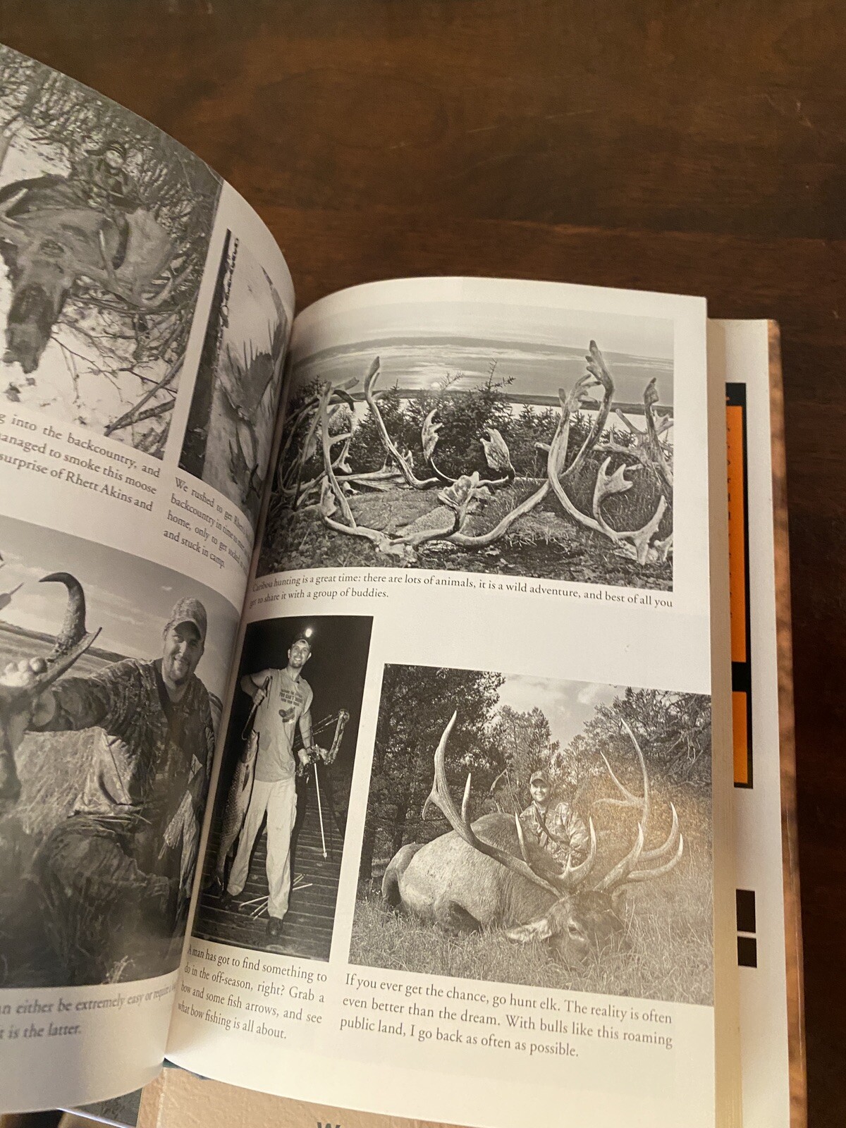 Picture 4 of 13