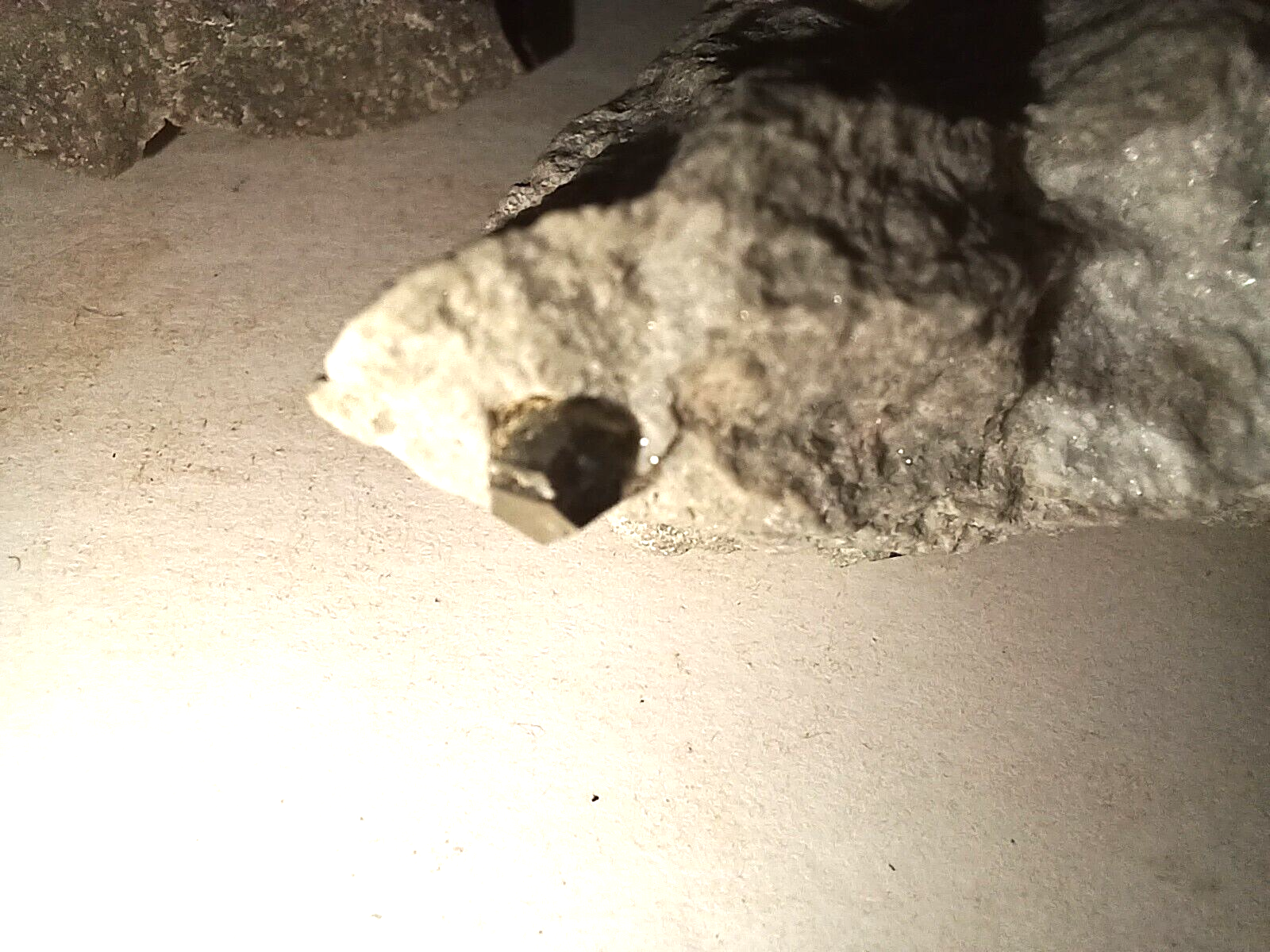 Picture 4 of 5