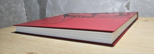 Fist of the North Star 40th Anniversary Art Book Official Catalog Limited - Picture 8 of 19