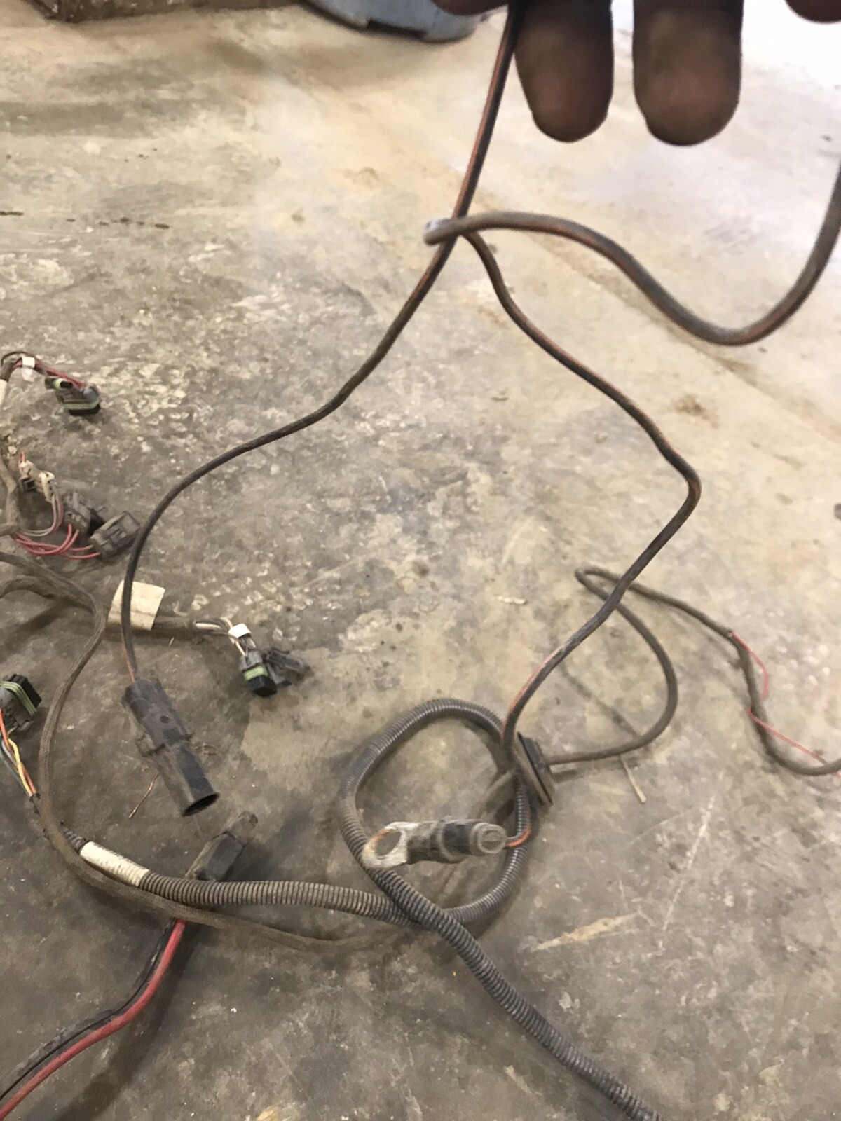 Picture 20 of 20