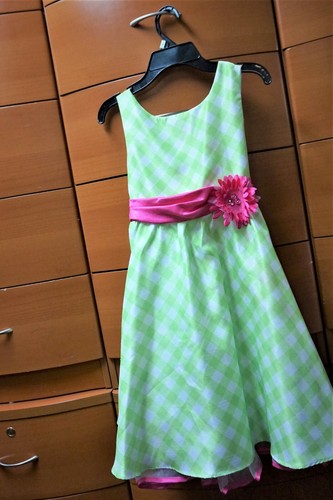 JONA MICHELLE TUTU VESTIDO DE FIESTA PARA NIÑA TALLA 8 SIN MANGAS VERDE CLARO DECORACIÓN ROSA - Imagen 5 de 11
