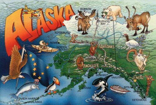 Alaska State Map, Anchorage, Juneau, Fairbanks, Nome, Puffin, Eagle etc Postcard | eBay Alaska State Map, Anchorage, Juneau, Fairbanks, Nome, Puffin, Eagle etc Postcard | eBay