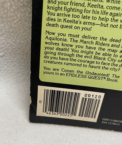 27x Conan The Barbarian Novels Conan The Rebel, The Usurper, The Avenger & More - Picture 11 of 17