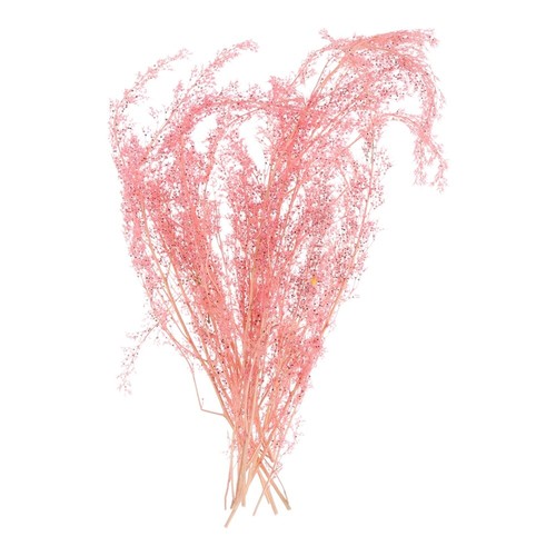 Arbustos Modelo Arbustos Largos Arbustos Vegetación Grupos Mechón Hierba Estática para Modelo Hágalo Usted Mismo - Imagen 10 de 16