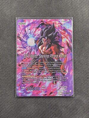 BT24-112 SLR SS4 ベジット $_57.JPG?set_id=880000500F