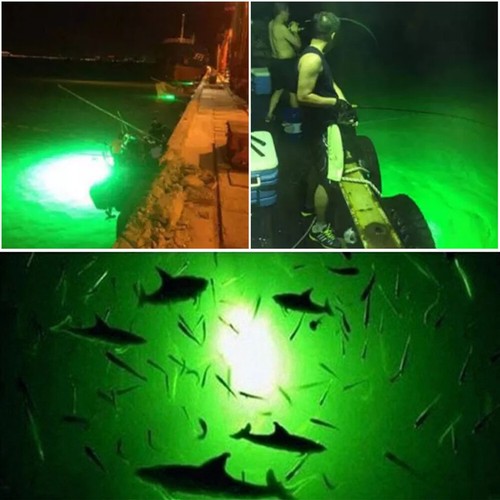 LED Light Deepsea Underwater Boat Fishing lure LED Fish Light Lamp 1200Lumens - Picture 6 of 9