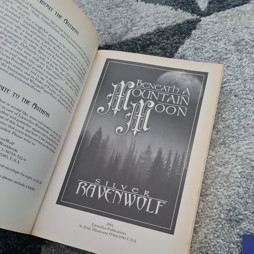 Beneath a Mountain Moon by RavenWolf, Silver - Picture 5 of 8