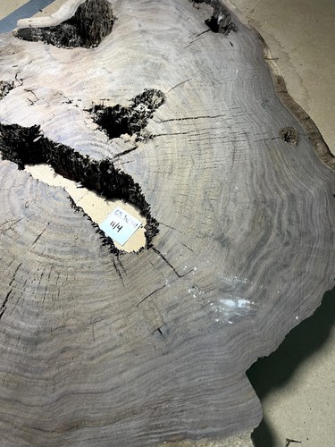 Black Walnut Cookie Slab | 2.75" Thick | Kiln Dried And Flattened | CSW101 - Picture 9 of 10