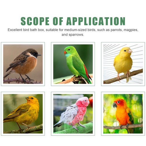 Scatola da bagno per uccelli accessori per uccelli per gabbia accessorio canarino conure - Foto 11 di 11