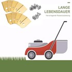 Bild 6 von 7
