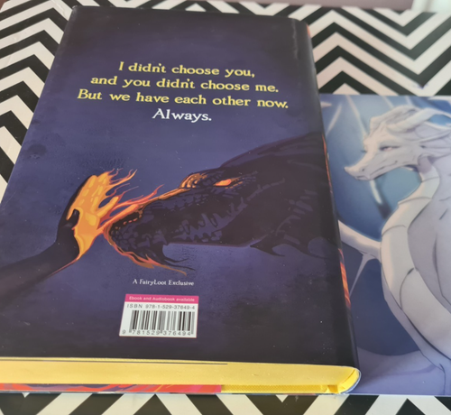 FIRE WITH FIRE by DESTINY SORIA Hardback (2021) FAIRYLOOT Edition Signed - Bild 6 von 9