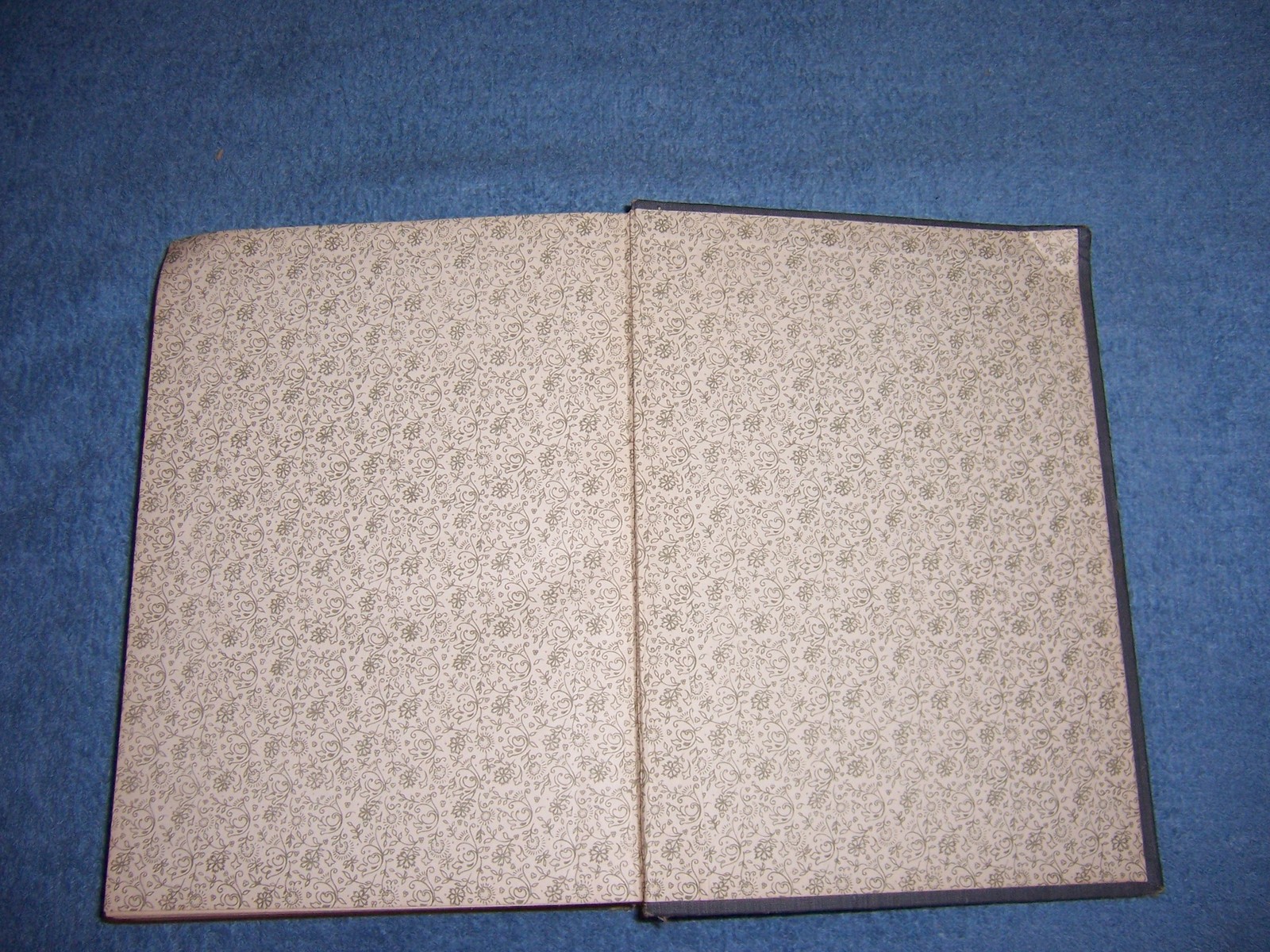Picture 9 of 9
