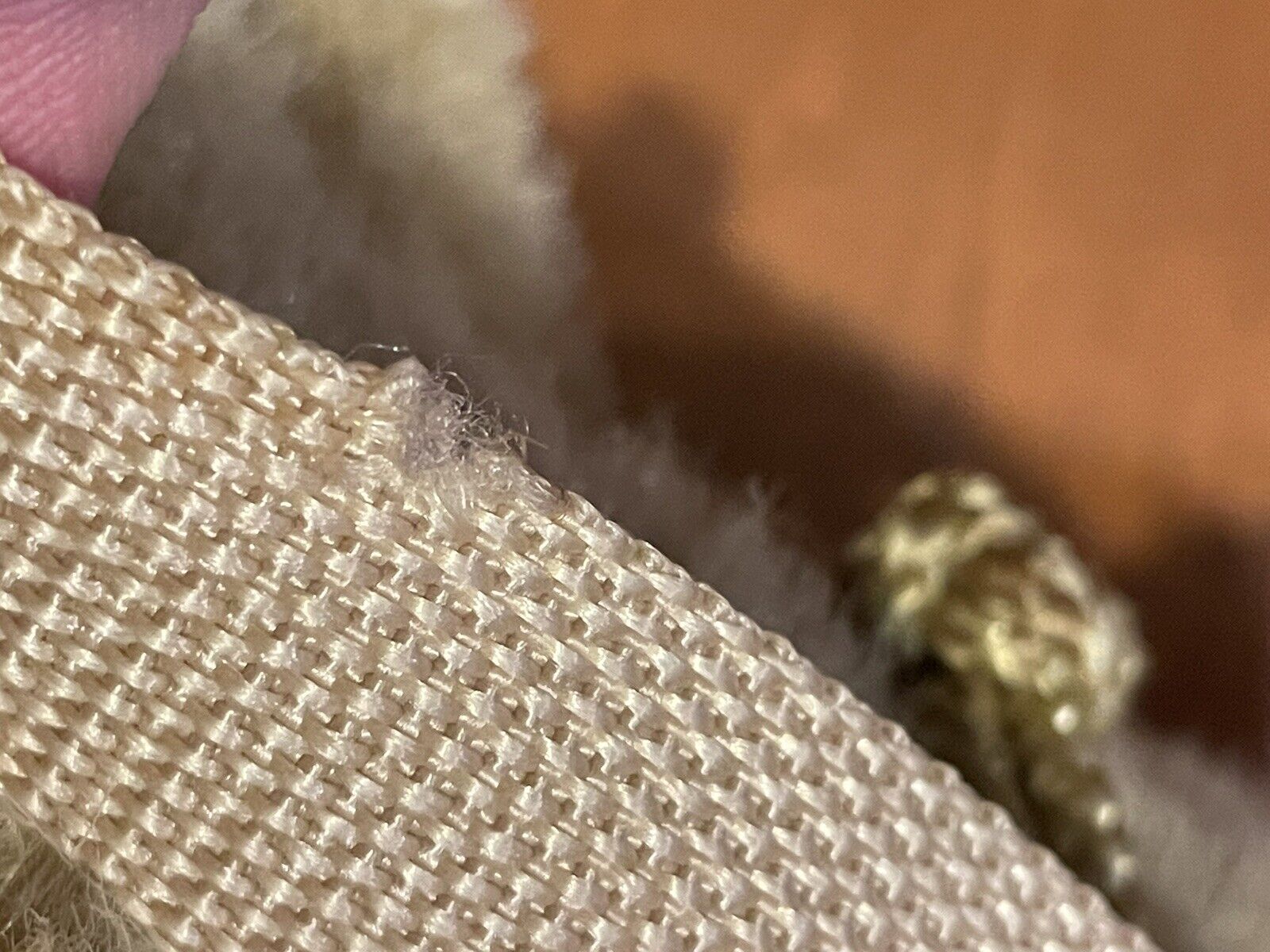 Foto 5 di 8