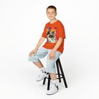 Bild 37 von 121