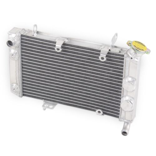 ATV Radiator For SUZUKI Z400 LTZ400 Kawasaki KFX400 Arctic Cat 400 DVX 2003-2008 - Foto 4 di 9