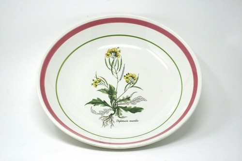 Tazón para servir pasta Primula Deruta Italia 13" amarillo cohete berro flor banda roja - Imagen 2 de 4