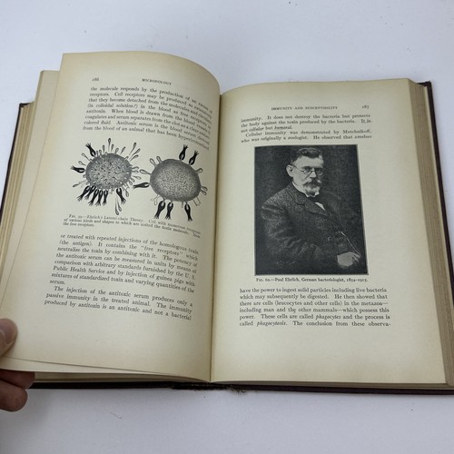 Textbook of General Microbiology Ward Glitner 1928 Michigan State College Prof - Picture 10 of 15