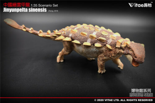 Vitae 1/35 Jinyunpelta sinensis Model Ankylosaur Dinosaur Figure Collector Decor - Picture 7 of 14