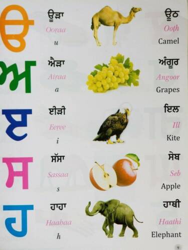 Learn punjabi in easy roman english gurmukhi alphabet first book kaida - Picture 3 of 5