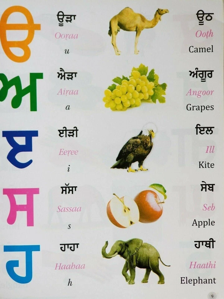 Learn punjabi in easy roman english gurmukhi alphabet first book kaida - Image 3 of 4