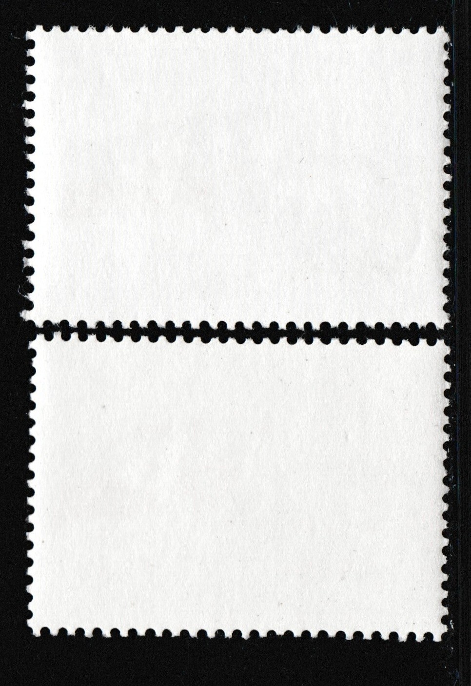 Picture 6 of 9