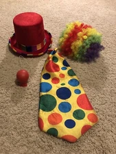 Clown Costume (Red Striped Top Hat, Raindbow Wig, Polka Dot Tie & Red Nose)