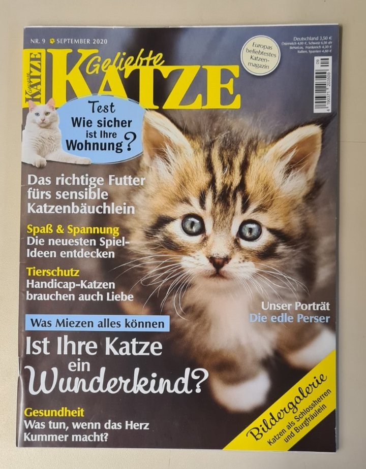 Bild 4 von 11